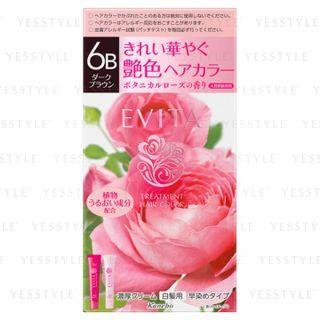 Kanebo - Evita Treatment Hair Color (#6b Dark Brown) 45g + 45g