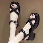 Crisscross Ankle-strap Platform Chunky-heel Sandals