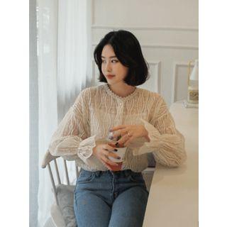 Crochet-trim Sheer Lace Blouse
