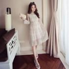 Mock Two-piece Sheer Lace Dress