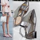 T-strap Buckle Pointy-toe Flat Sandals