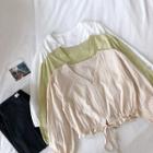 Plain V-neck Drawcord Lace-up Puff-sleeve Blouse