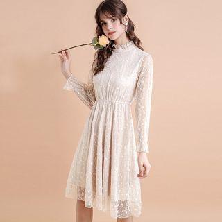Long-sleeve Dotted A-line Lace Dress