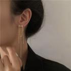 Chained Alloy Fringed Earring