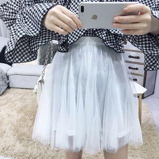 Sheer Mini Skirt