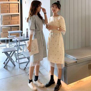 Tie-waist Mesh Panel Short Sleeve Dotted Dress