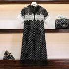 Dotted Lace Panel Short-sleeve Collared Dress