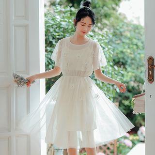 Floral Applique Short-sleeve Mesh Dress