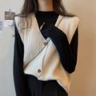 Plain Long-sleeve Knit Top / V-neck Knit Vest