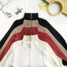 Plain Turtle-neck Long-sleeve Loose-fit Knit Top