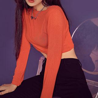 Adan Sheer Crop Top