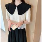 Elbow-sleeve Wide Collar Lace Top