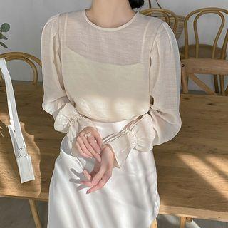 Balloon-sleeve Sheer Blouse Light Beige - One Size