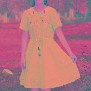 Short-sleeve Rabbit Embroidered A-line Dress