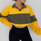 Lettering Embroidered Striped Cropped Polo Sweatshirt