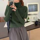 Short-sleeve Turtleneck Sweater With Arm Sleeves