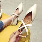 Pointy-toe Cross Strap Flats