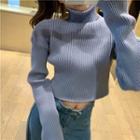 Turtleneck Ribbed Cropped Sweater Blue - One Size