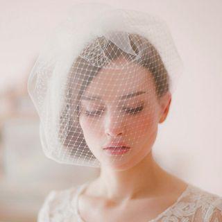 Wedding Birdcage Veil
