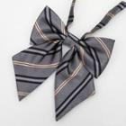 Striped Bow Tie Bow Tie - Stripe - Gray - One Size