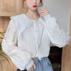 Collared Lace Trim Blouse