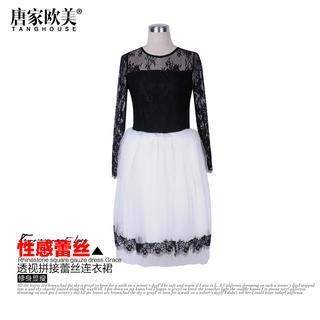 Lace Panel Tulle Dress