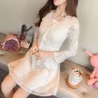 Lace V-neck Long-sleeve A-line Dress