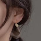 925 Sterling Silver Hook Earring 1 Pair - S925 Silver - Gold - One Size