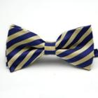 Striped Bow Tie Tjl-06 - One Size