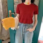 Short-sleeve Open Knit Cropped Top