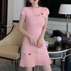 Set: Embroidered Sleeveless Dress + Mock-neck Short-sleeve Cropped Top