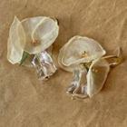 Flower Mesh Drop Earring 1 Pair - Earrings - 925 Silver - Flower - Beige - One Size