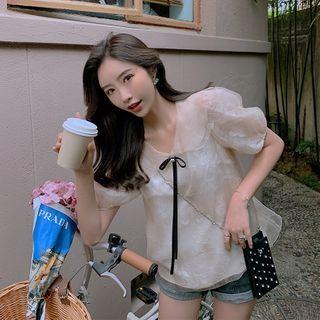 Embroidered Mesh Puff-sleeve Blouse