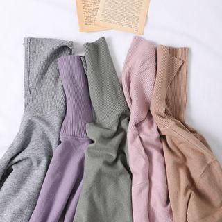 Turtleneck Knit Top (10 Colors)