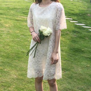 Crochet Knit Short-sleeve Shift Dress