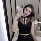 Short-sleeve Lace Panel Top Black - One Size