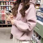 Brushed-fleece Lined Letter-embroidered Hoodie Light Purple - One Size