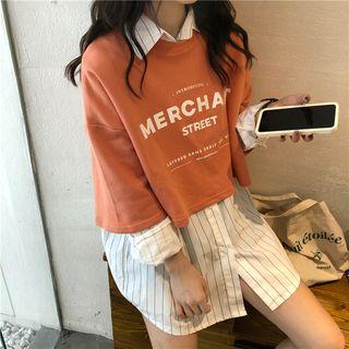Striped Shirt / Lettering Crop Pullover