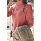 Turtleneck Short-sleeve Wool Blend Sweater