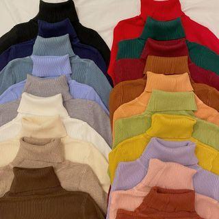 Turtle-neck Knit Top In 19 Colors