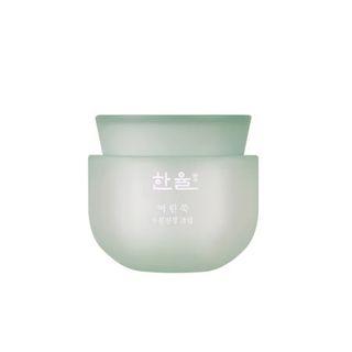 Hanyul - Pure Artemisia Watery Calming Cream 80ml 80ml