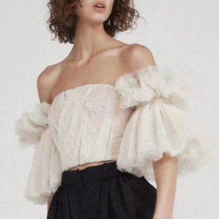 Off-shoulder Embroidered Mesh Crop Top