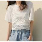 Set: Short-sleeve Plain T-shirt + Crochet Knit Camisole Top