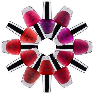 Shany - Set Of 12: The Rose Collection Nail Polish Set Set Of 12