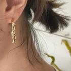Distorted Metallic Hoop Earrings