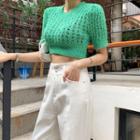 Frayed Perforated Knit Crop Top