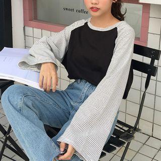 Long-sleeve Panel Raglan T-shirt