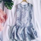 Set: Embroidered Sleeveless Dress + Slipdress