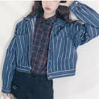 Long Sleeve Plaid Shirt / Cropped Striped Denim Jacket