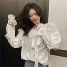 Ribbon Bow Chiffon Blouse